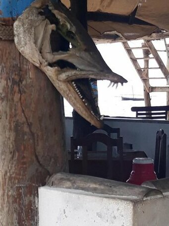 Drifters lodge - Photo5