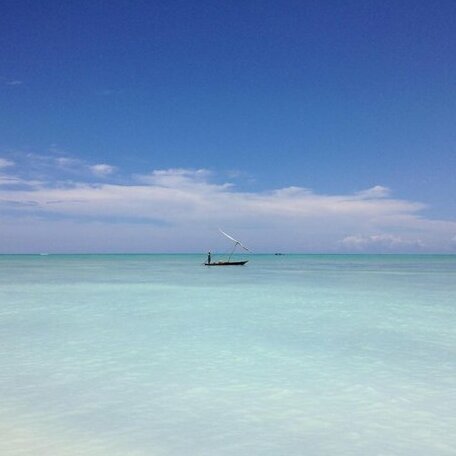 Sea Breeze Lodge Nungwi - Photo2