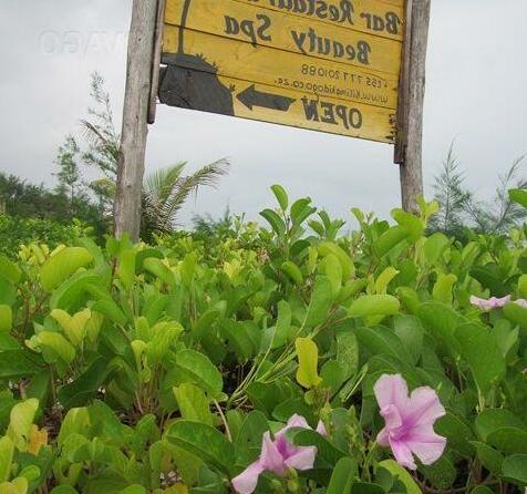 Kilima Kidogo Guest House - Photo4