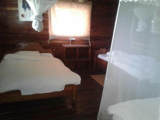 Ikoma safari Camp - Photo5