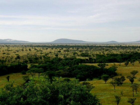 Mbalageti Serengeti - Photo5