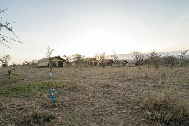 Serengeti Wildebeest Camp - Photo2