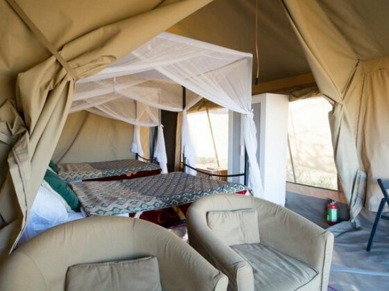 Serengeti Wildebeest Camp - Photo3