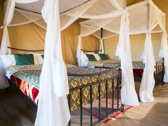 Serengeti Wildebeest Camp - Photo4