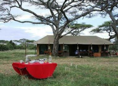 Lemala Ndutu Tented Camp Serengeti