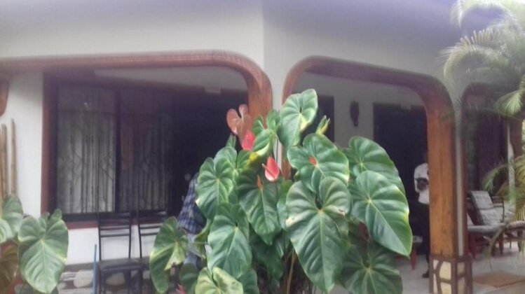 Ango Tree lodge - Photo4