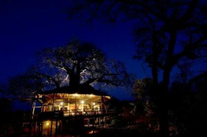 Tarangire Treetops