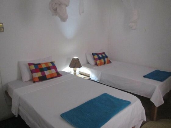 Stone Town Birdsnest - Photo3