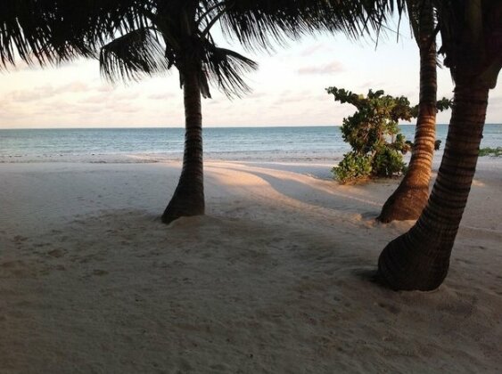 Pongwe Bay Resort - Photo2