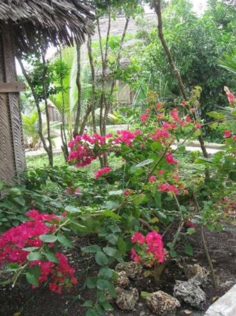 Zanzibar Rock Resort - Photo5
