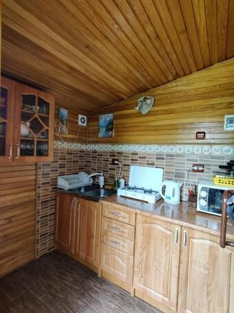 AntaLenka - Photo5