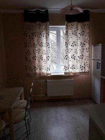 Apartment on Tarashchanska 161 - Photo4