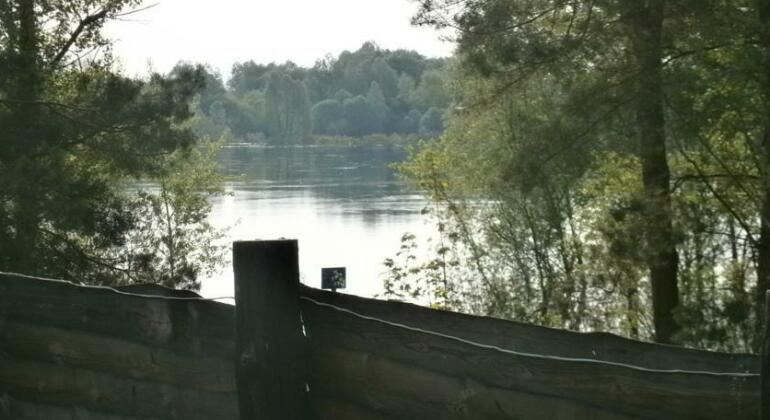 Baza otdykha Dnepr - Photo4