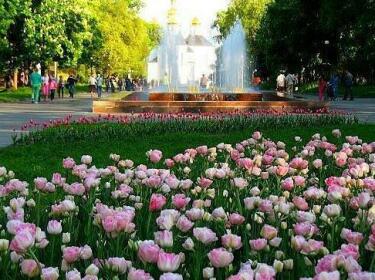 Roses Apartment in the city center