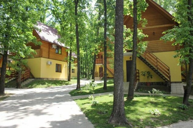 Viliya - Photo2