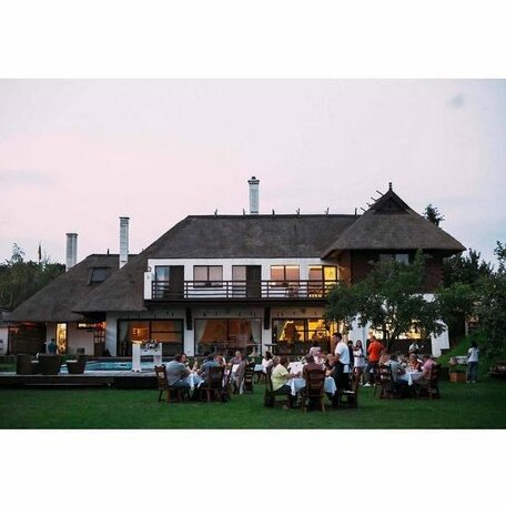Gosteria Hata Podoprigora - Photo3