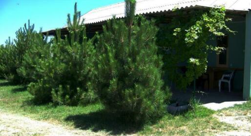 Guest House Progulochniy Ruchey