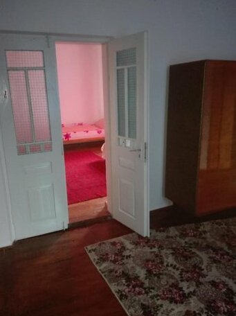 Halex5 - Photo2