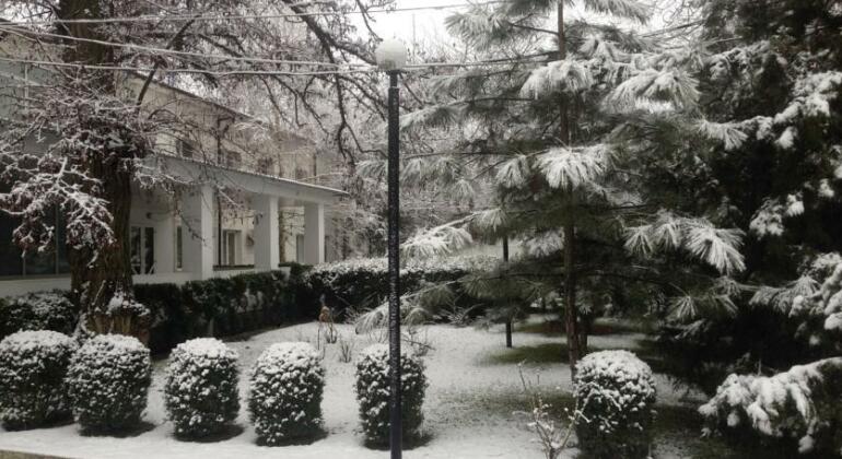 Premium Hotel - Photo5