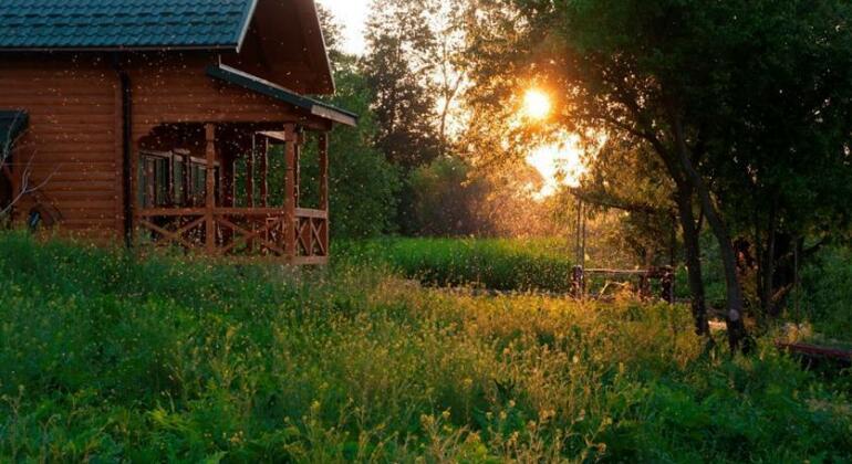 Country house Domik v derevne