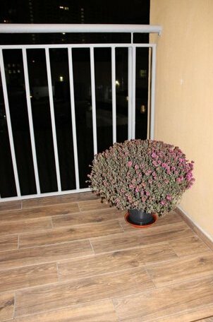 Aster-apart Uni - Photo4