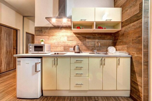 Comfortable Apartment Kiev - Photo4