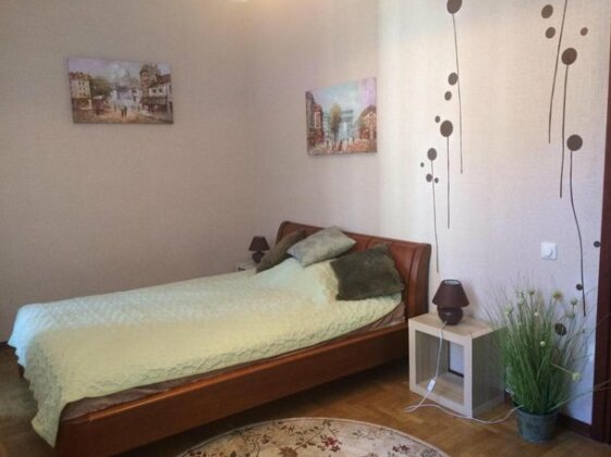 Cozy pretty apartment in the heart of Kiev