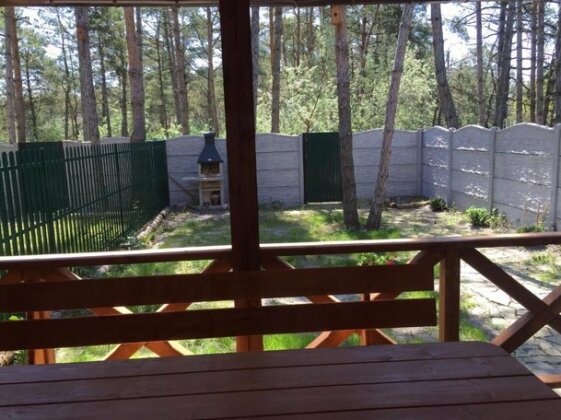 Cottage in Sosnovom Boru - Photo2