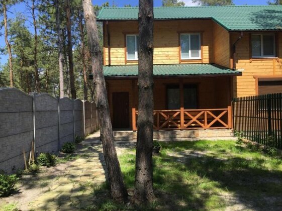 Cottage in Sosnovom Boru - Photo3