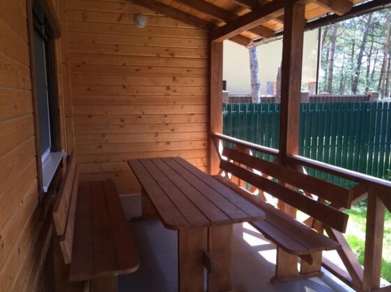 Cottage in Sosnovom Boru - Photo4