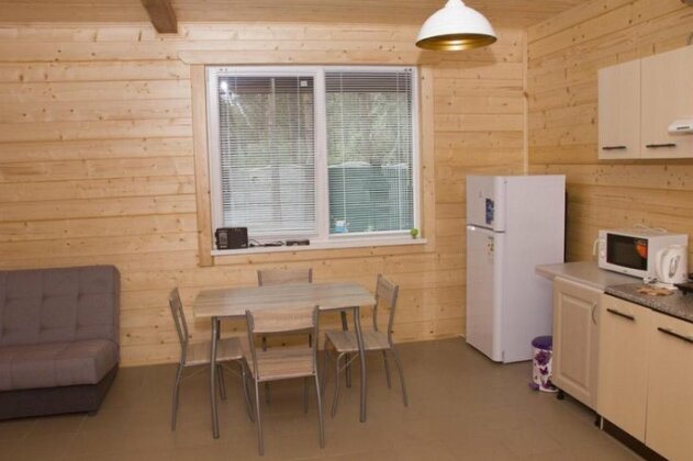 Cottage in Sosnovom Boru - Photo5