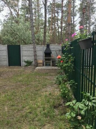 Cottage in Sosnovom Boru