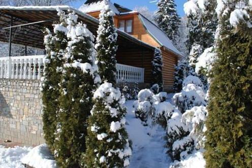 Bayka - Photo3