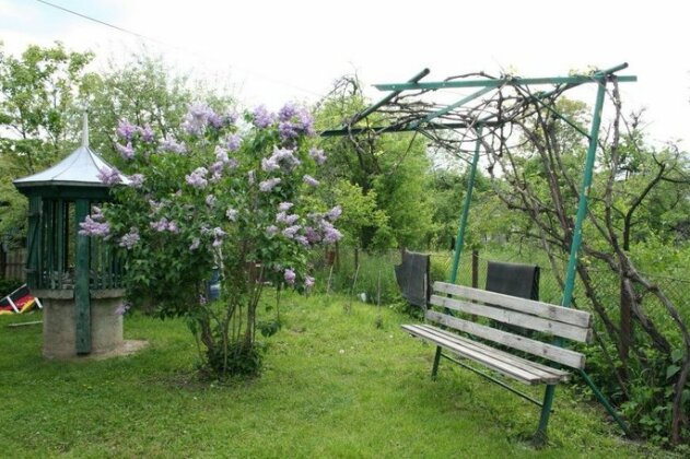 Sadiba Pri Dorogi - Photo5