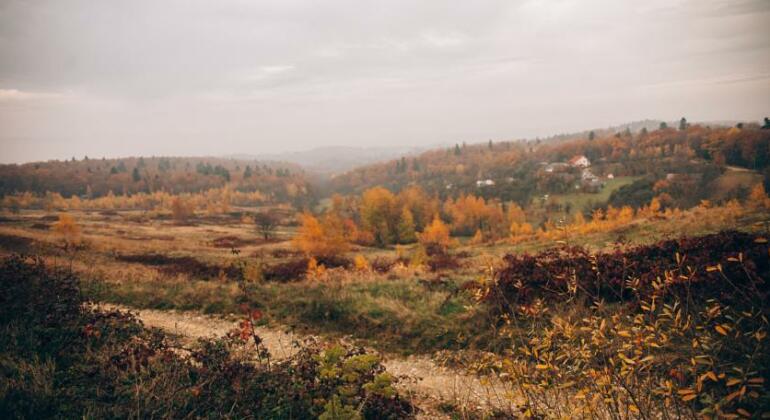 Vasanna - Photo4