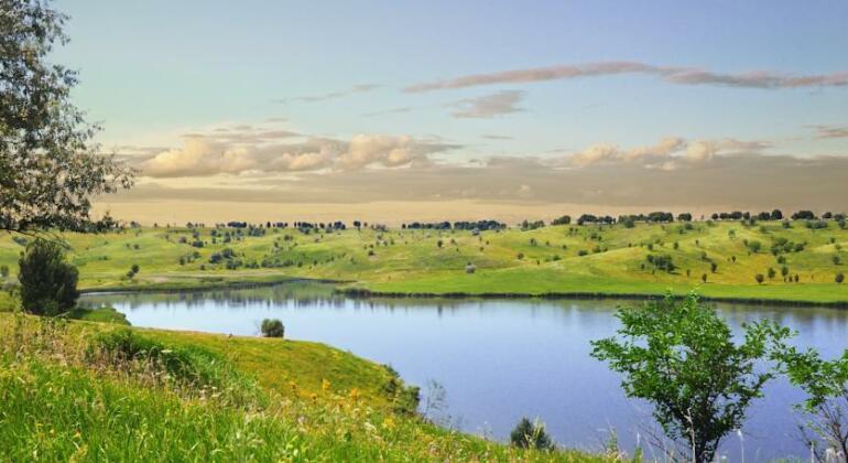 Dergachov Guest House - Photo4