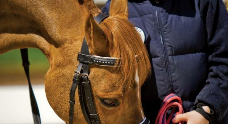 Park-Hotel Butenko Stable - Photo2