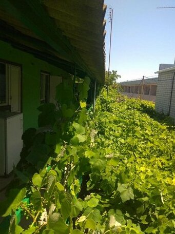 U Tatyani - Photo2