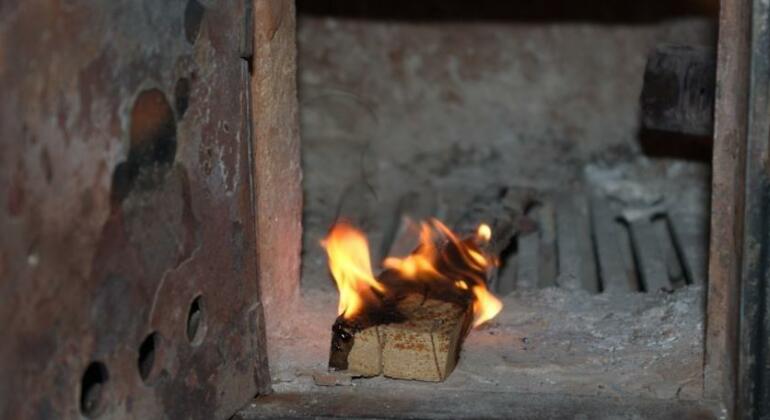 Cats' House Hostel Lviv - Photo2