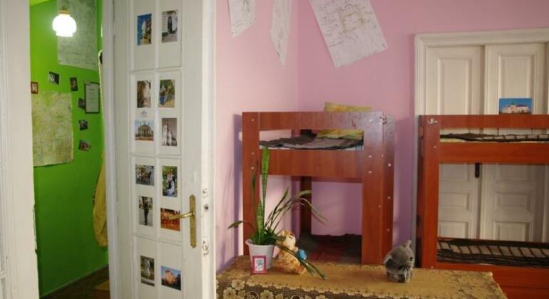 Cats' House Hostel Lviv - Photo3