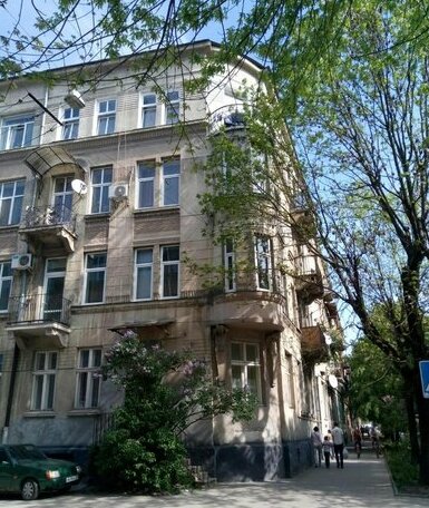 Lviv appartment on Yaroslava Mudrogo 14