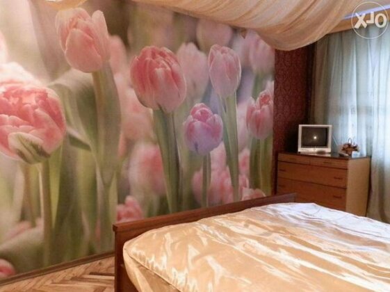 Apartment on Alexeyeva - Photo4