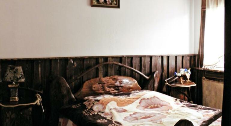 Karpatski Barvy - Photo2