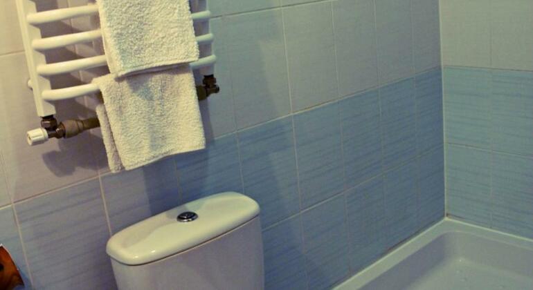 Karpatski Barvy - Photo5