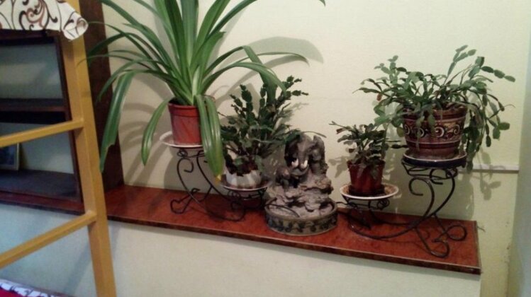 Uley Hostel - Photo4