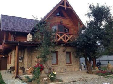 Apple House Mykulychyn