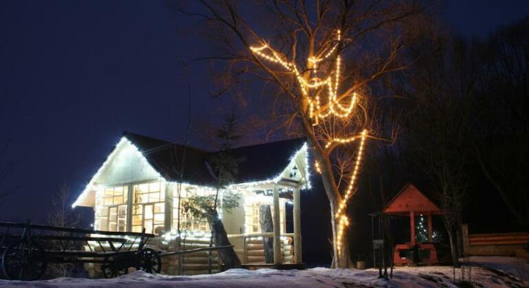Bozhena - Photo4