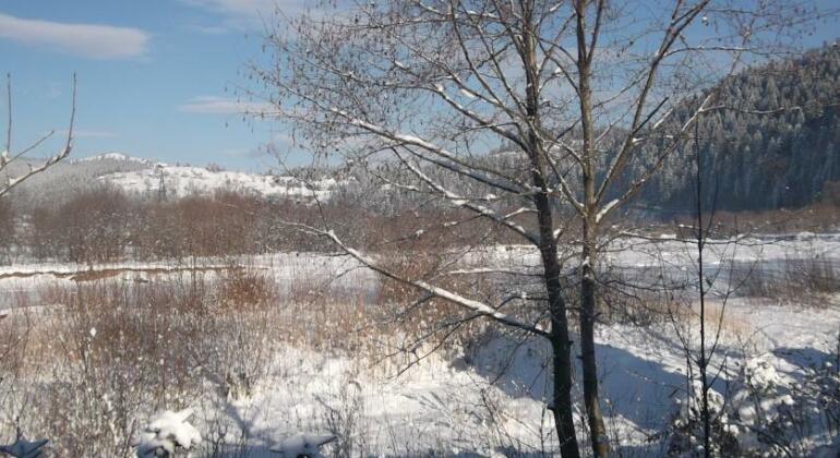 Bozhena - Photo5