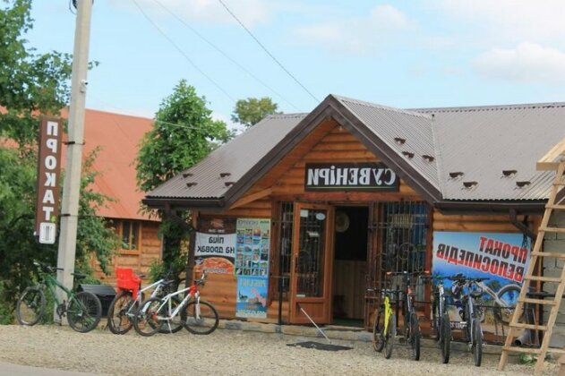 Cottage u Yaremy Mykulychyn