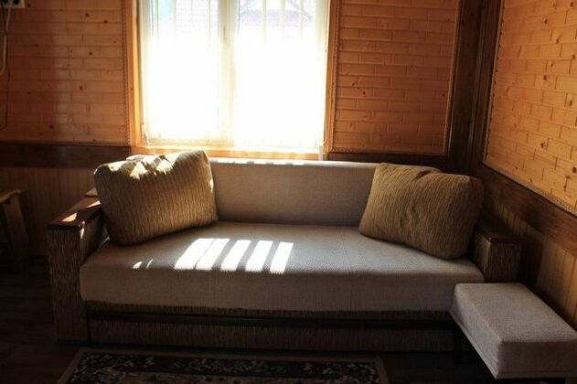 Cottage u Yaremy Mykulychyn - Photo3